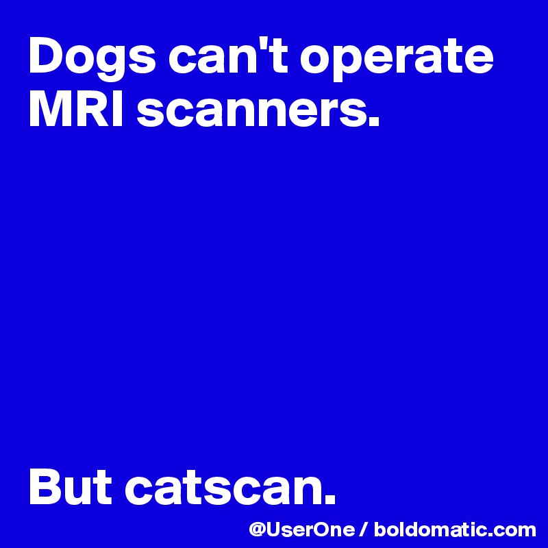 Dogs can't operate
MRI scanners.






But catscan.