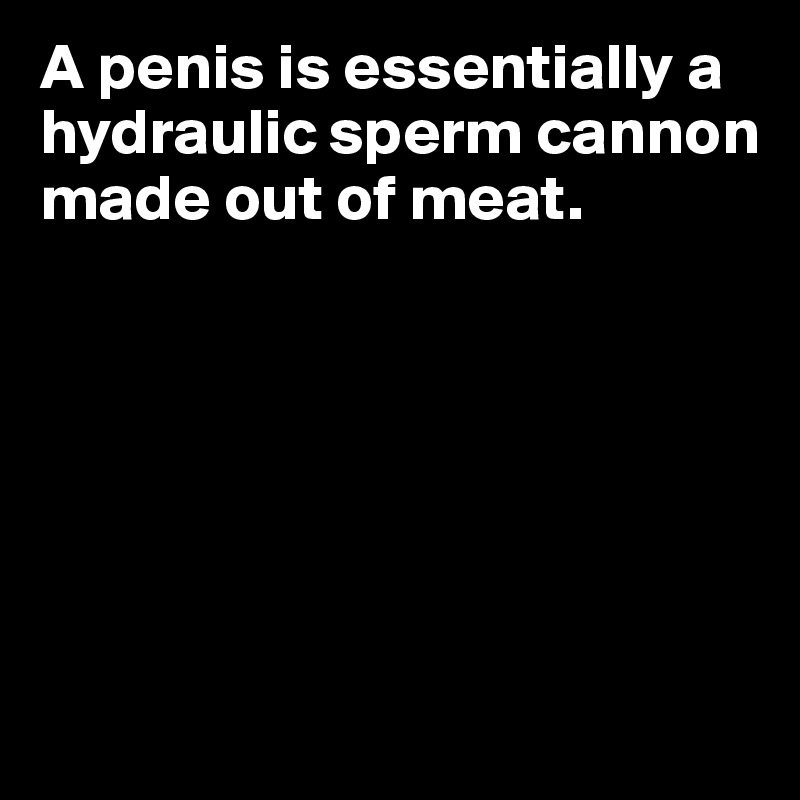 A penis is essentially a hydraulic sperm cannon made out of meat. 






