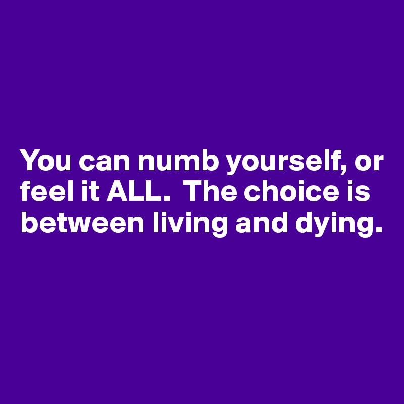 



You can numb yourself, or feel it ALL.  The choice is between living and dying.



