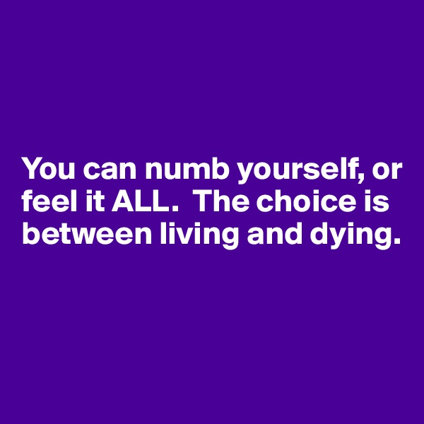 



You can numb yourself, or feel it ALL.  The choice is between living and dying.



