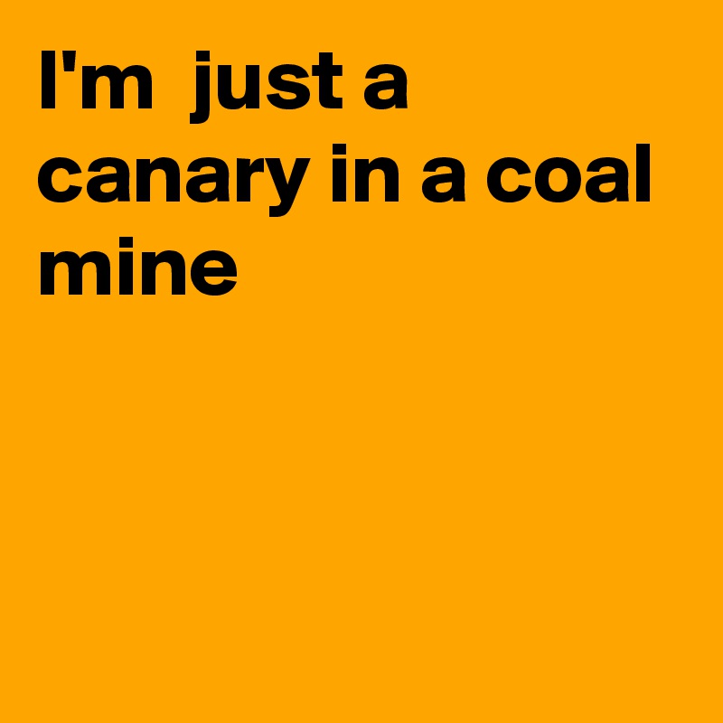I'm  just a canary in a coal mine



