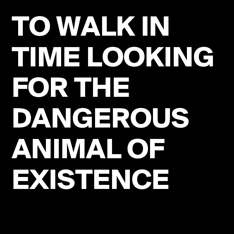 TO WALK IN TIME LOOKING FOR THE DANGEROUS ANIMAL OF EXISTENCE