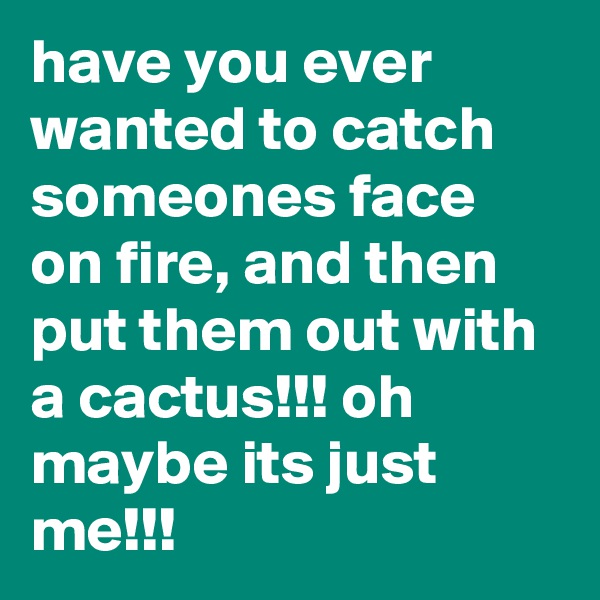 have you ever wanted to catch someones face on fire, and then put them out with a cactus!!! oh maybe its just me!!!