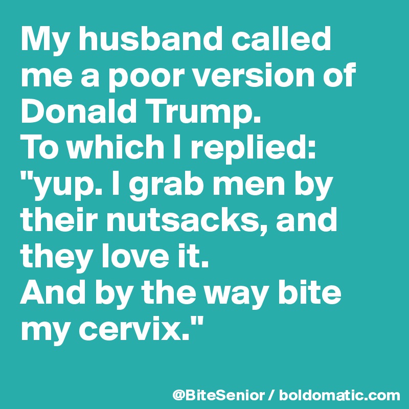 My husband called me a poor version of Donald Trump. 
To which I replied: "yup. I grab men by their nutsacks, and they love it.
And by the way bite my cervix." 
