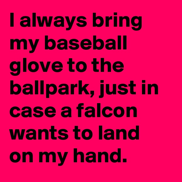 I always bring my baseball glove to the ballpark, just in case a falcon wants to land on my hand.
