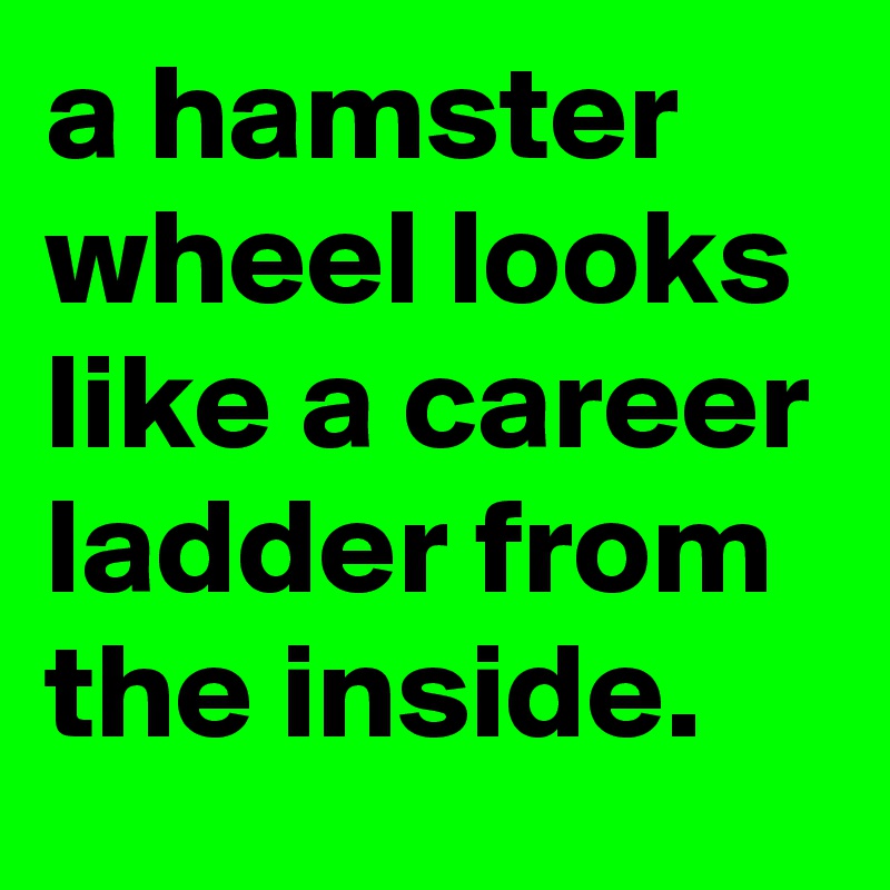 a hamster wheel looks like a career ladder from the inside.