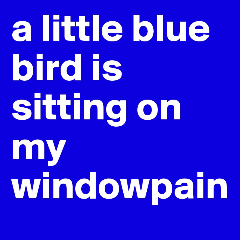 a little blue bird is sitting on my windowpain