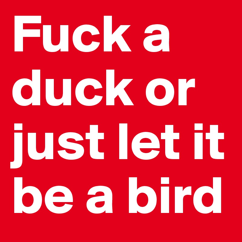 Fuck a duck or just let it be a bird