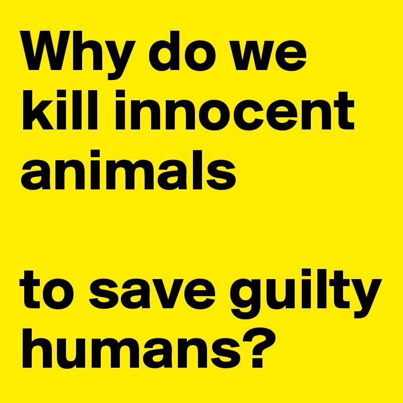 Why do we kill innocent animals 

to save guilty humans?