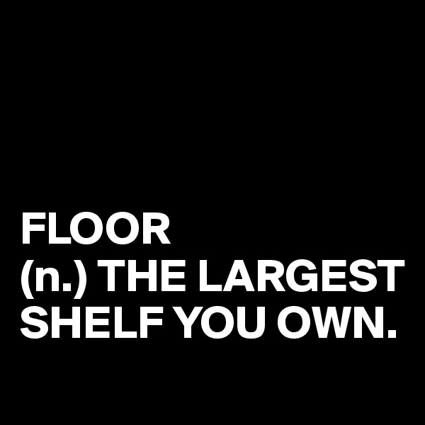 



FLOOR
(n.) THE LARGEST SHELF YOU OWN.