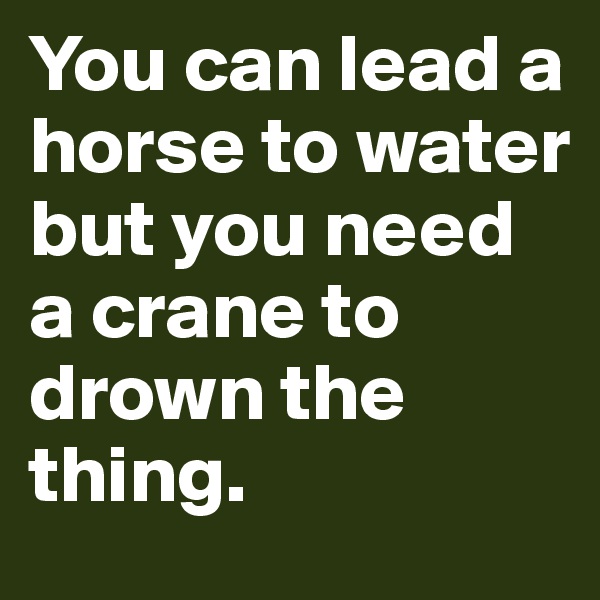 You can lead a horse to water
but you need a crane to drown the thing.