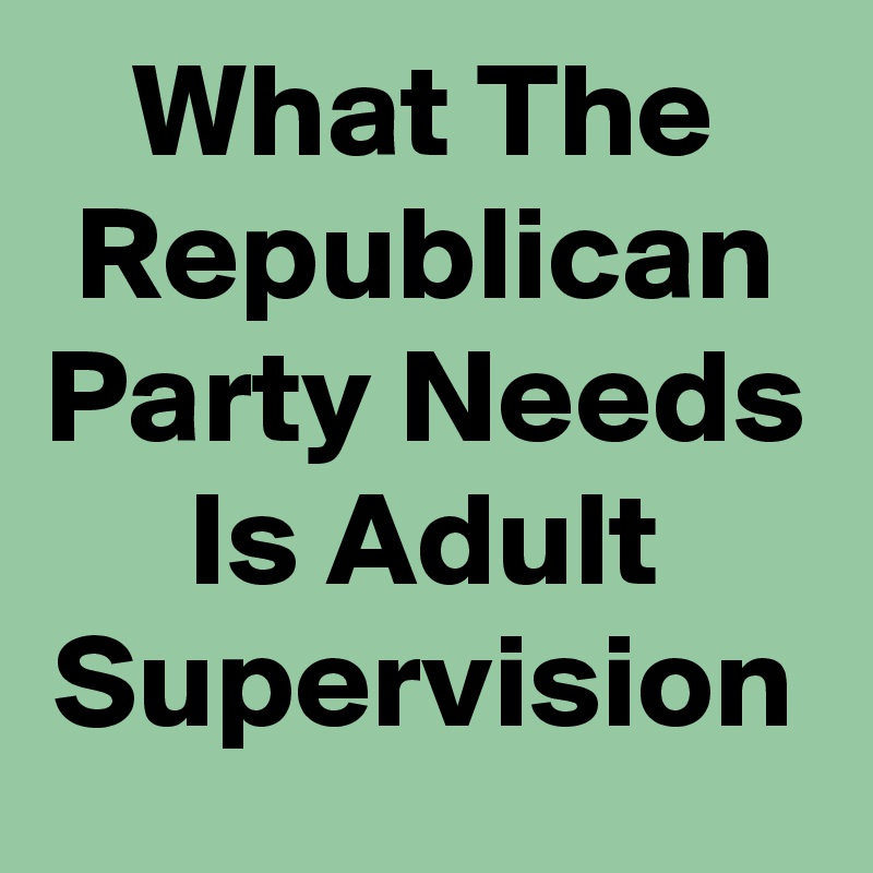 What The Republican Party Needs Is Adult Supervision