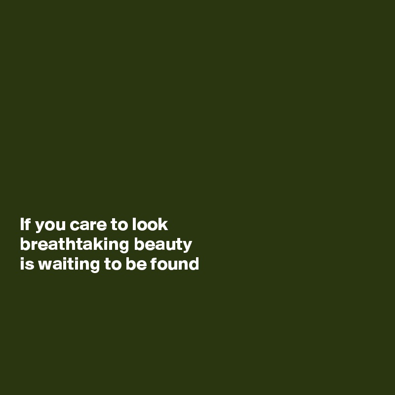 









If you care to look 
breathtaking beauty 
is waiting to be found




