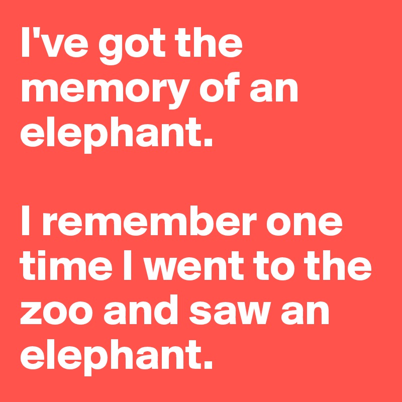 I've got the memory of an elephant.

I remember one time I went to the zoo and saw an elephant.
