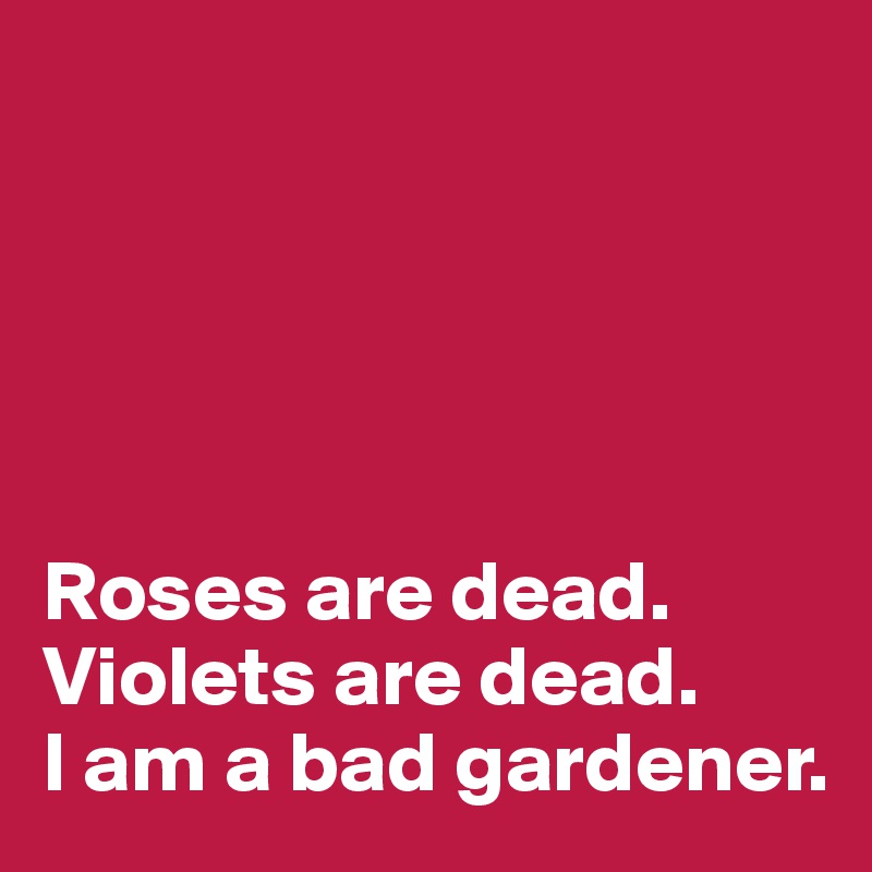 





Roses are dead. 
Violets are dead. 
I am a bad gardener. 