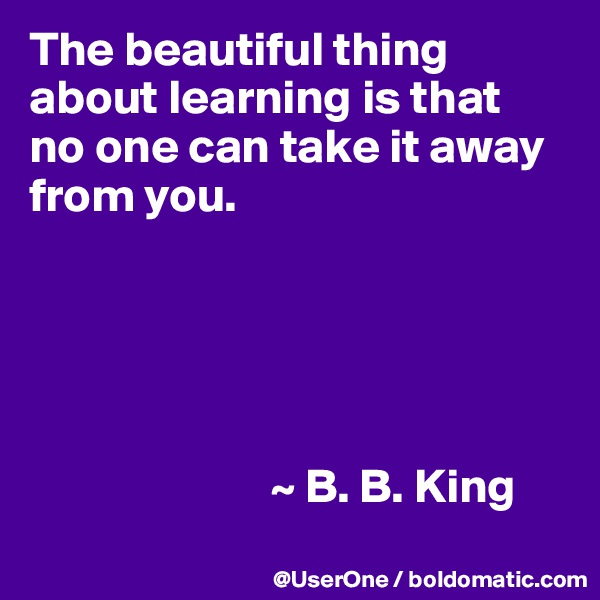 The beautiful thing
about learning is that
no one can take it away from you.





                         ~ B. B. King
