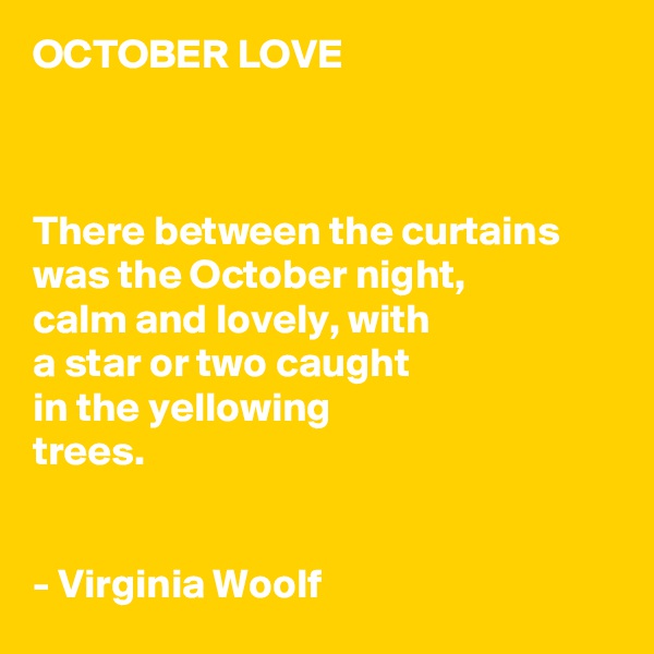 OCTOBER LOVE



There between the curtains was the October night,
calm and lovely, with 
a star or two caught 
in the yellowing 
trees. 


- Virginia Woolf