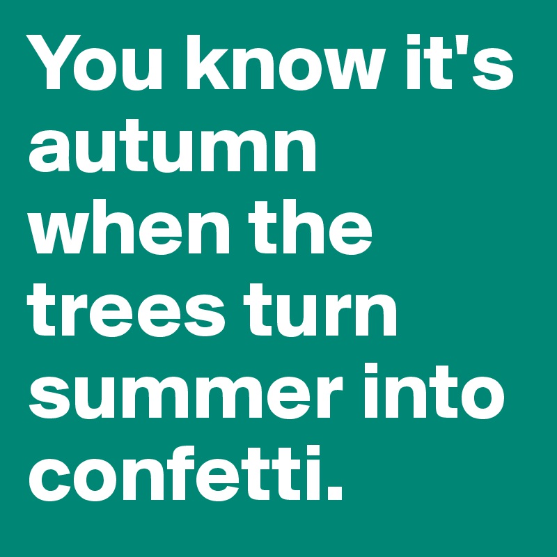 You know it's autumn when the trees turn summer into confetti. 