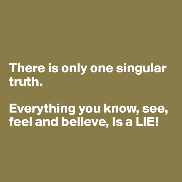 



There is only one singular truth.

Everything you know, see, feel and believe, is a LIE!


