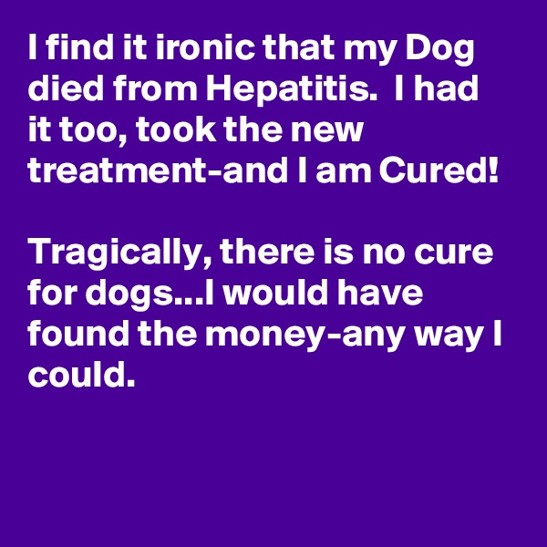 I find it ironic that my Dog died from Hepatitis.  I had it too, took the new treatment-and I am Cured!

Tragically, there is no cure for dogs...I would have found the money-any way I could.    


