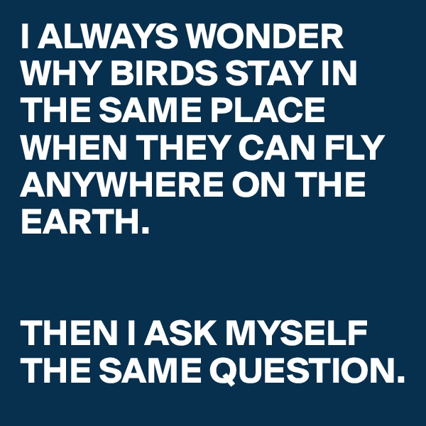 I ALWAYS WONDER WHY BIRDS STAY IN THE SAME PLACE WHEN THEY CAN FLY ANYWHERE ON THE EARTH.


THEN I ASK MYSELF THE SAME QUESTION.