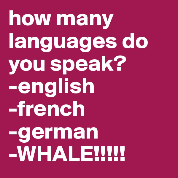 how many languages do you speak? 
-english 
-french 
-german 
-WHALE!!!!!