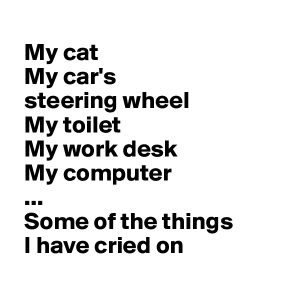   
  My cat
  My car's 
  steering wheel
  My toilet
  My work desk
  My computer
  ...
  Some of the things
  I have cried on
