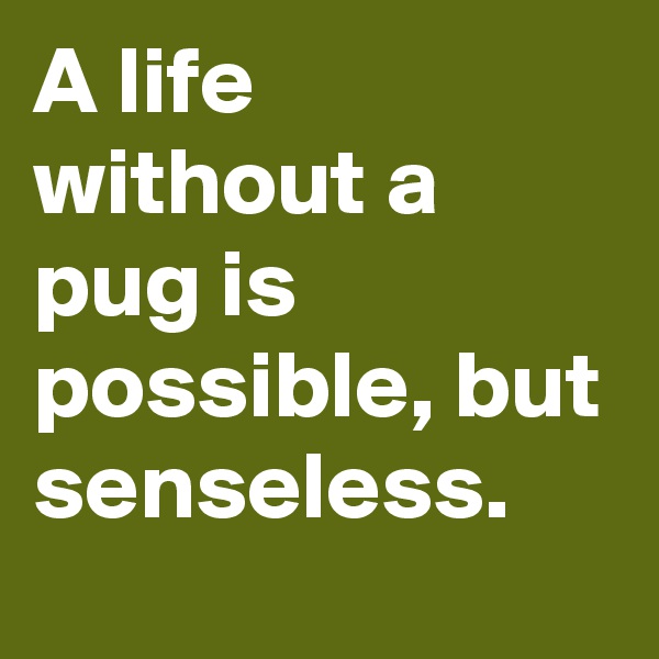 A life without a pug is possible, but senseless.