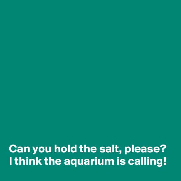 










Can you hold the salt, please?
I think the aquarium is calling!
