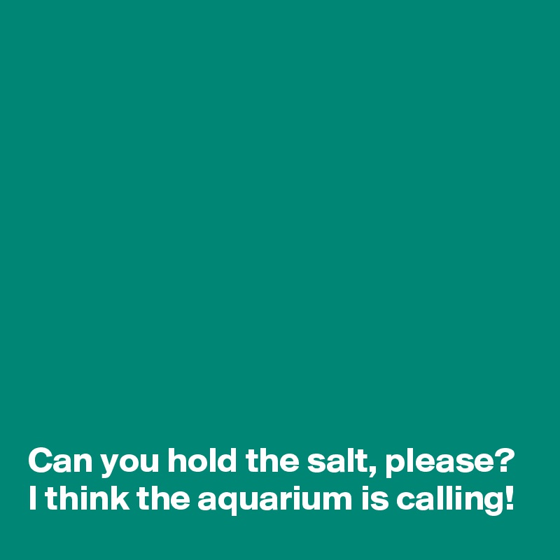 










Can you hold the salt, please?
I think the aquarium is calling!