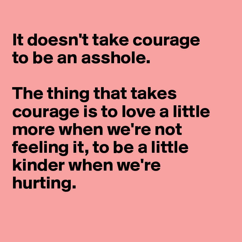 
It doesn't take courage 
to be an asshole. 

The thing that takes courage is to love a little more when we're not feeling it, to be a little kinder when we're
hurting.
 
