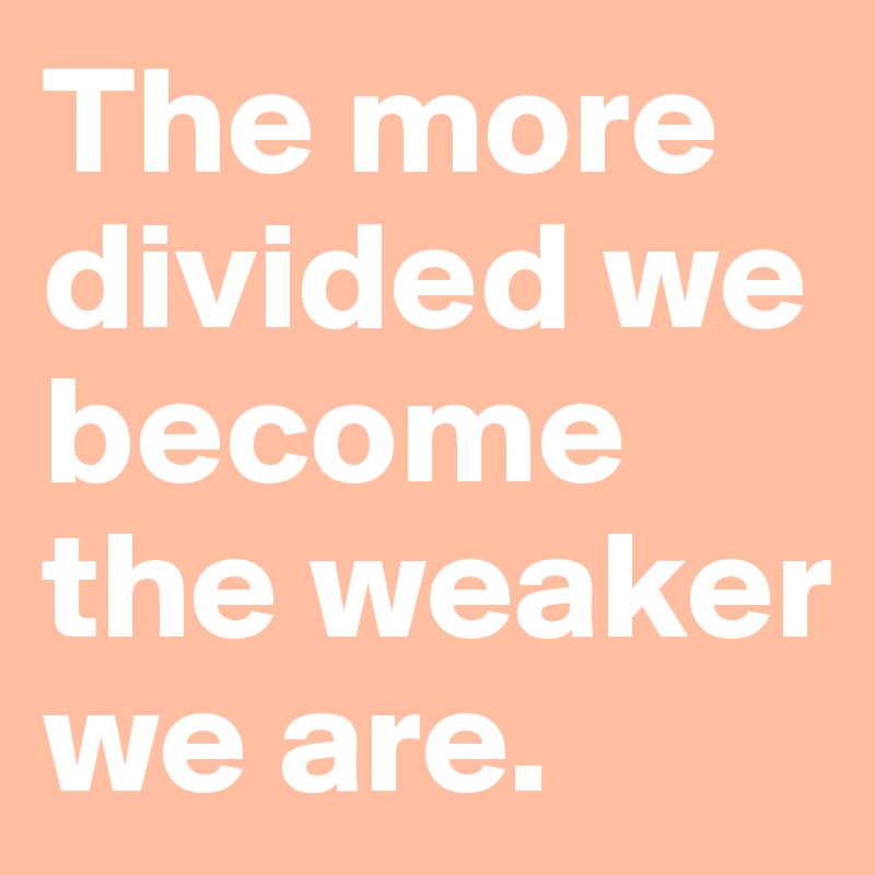 The more divided we become the weaker we are. 