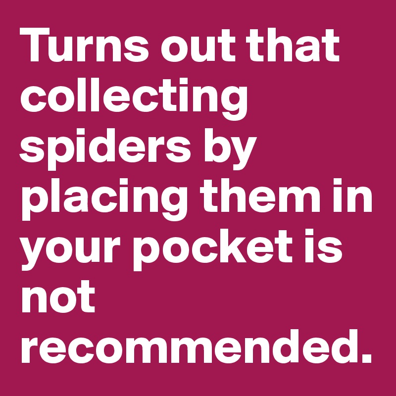 Turns out that collecting spiders by placing them in your pocket is not recommended.