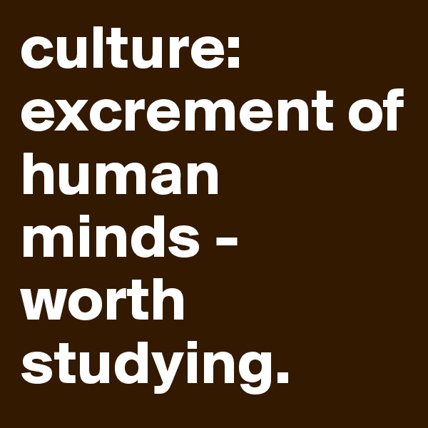 culture: excrement of human minds - worth studying. 