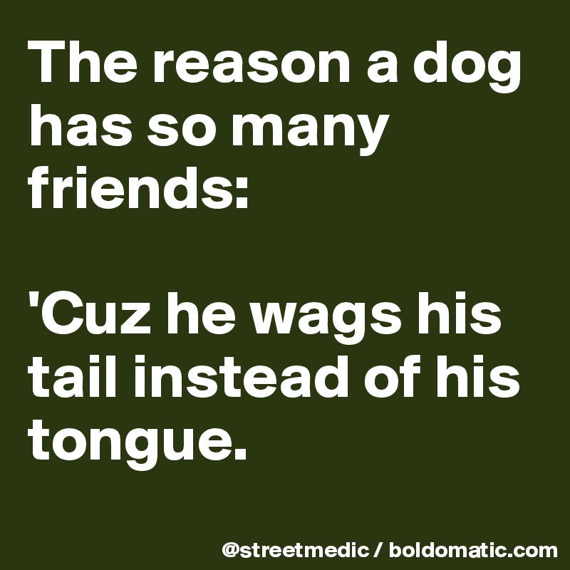 The reason a dog has so many friends:

'Cuz he wags his tail instead of his tongue.
