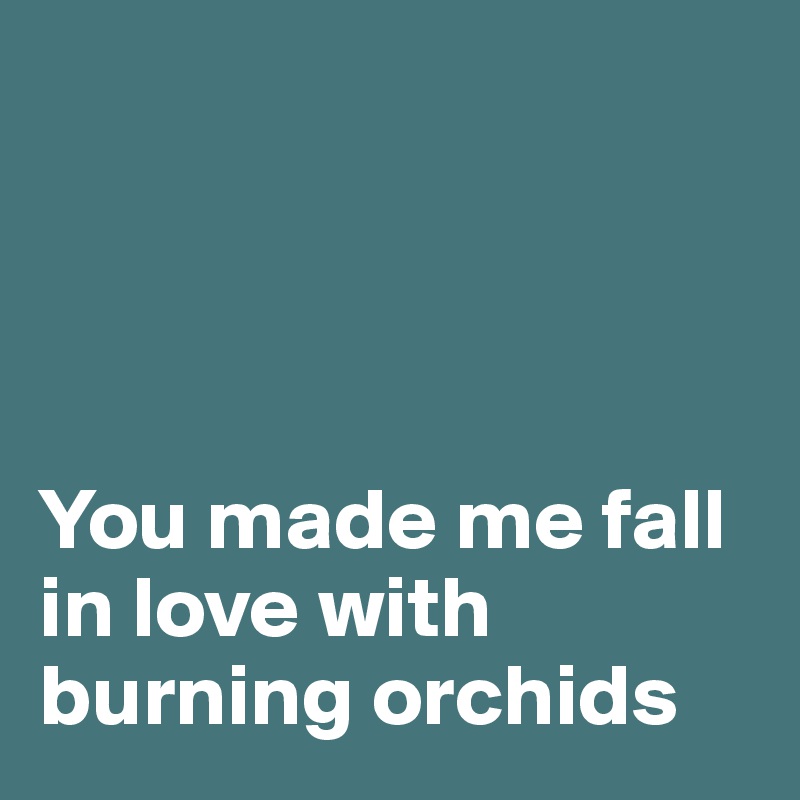 




You made me fall in love with burning orchids