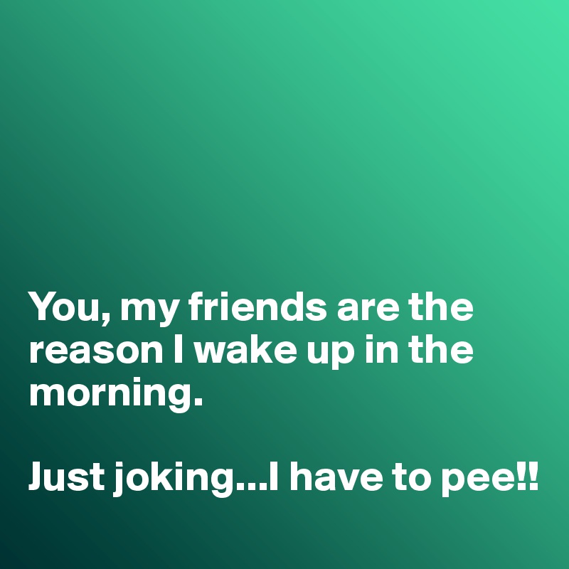 





You, my friends are the reason I wake up in the morning. 

Just joking...I have to pee!!