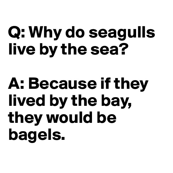 
Q: Why do seagulls live by the sea? 

A: Because if they lived by the bay, they would be bagels.
 