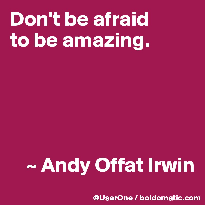 Don't be afraid
to be amazing.





    ~ Andy Offat Irwin