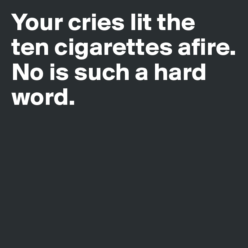 Your cries lit the ten cigarettes afire.
No is such a hard word.



