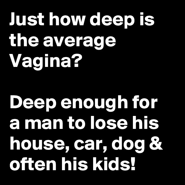 Just how deep is the average Vagina?

Deep enough for a man to lose his house, car, dog & often his kids!