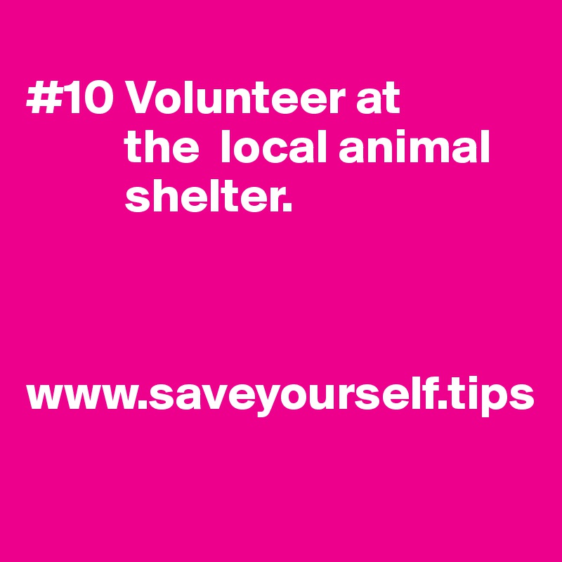 
#10 Volunteer at   
          the  local animal 
          shelter.



www.saveyourself.tips

