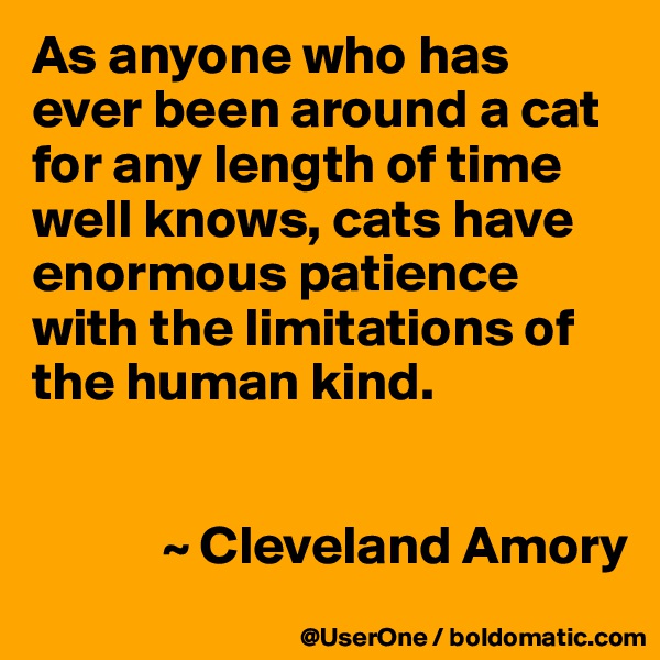 As anyone who has ever been around a cat for any length of time well knows, cats have enormous patience with the limitations of the human kind.


            ~ Cleveland Amory