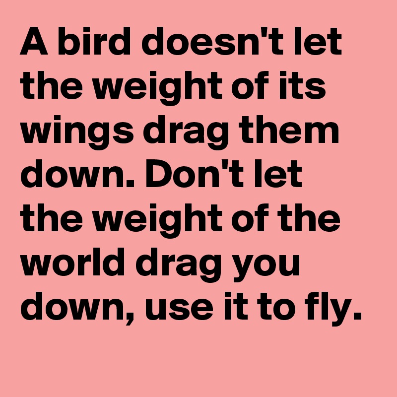 A bird doesn't let the weight of its wings drag them down. Don't let the weight of the world drag you down, use it to fly. 