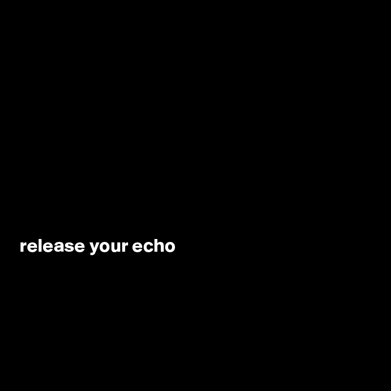 









release your echo





