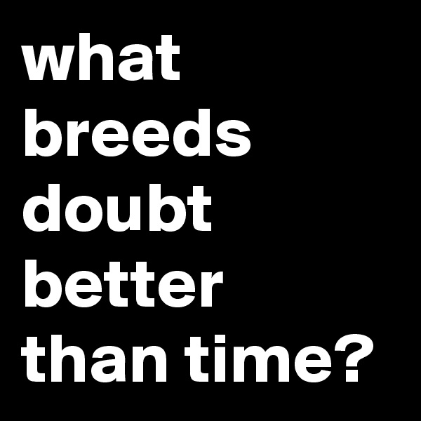 what breeds doubt better than time?