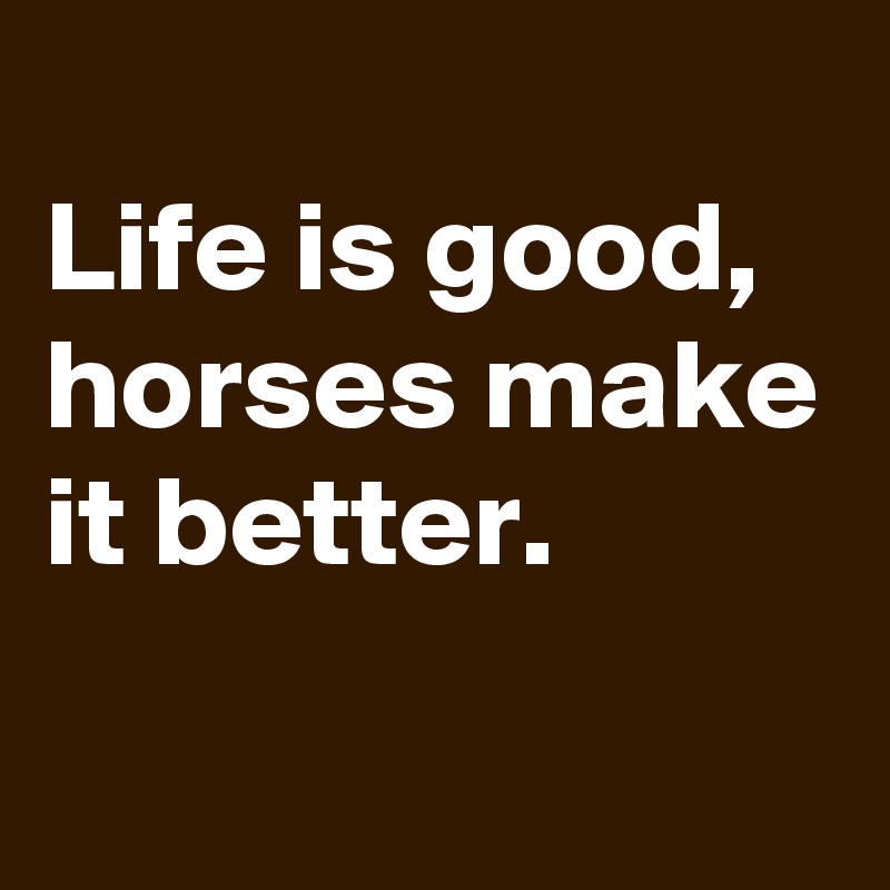 
Life is good, horses make it better.
