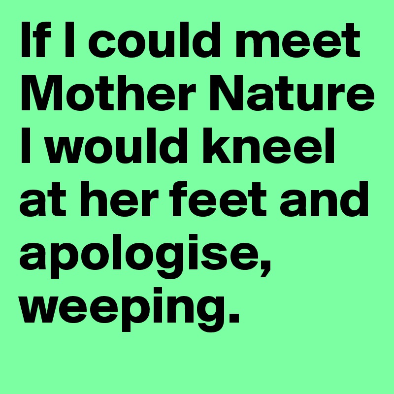 If I could meet Mother Nature I would kneel at her feet and apologise, weeping. 