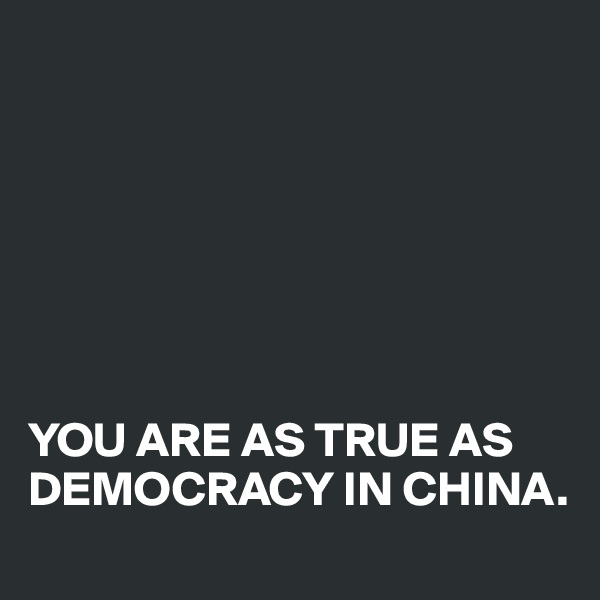 







YOU ARE AS TRUE AS DEMOCRACY IN CHINA.
