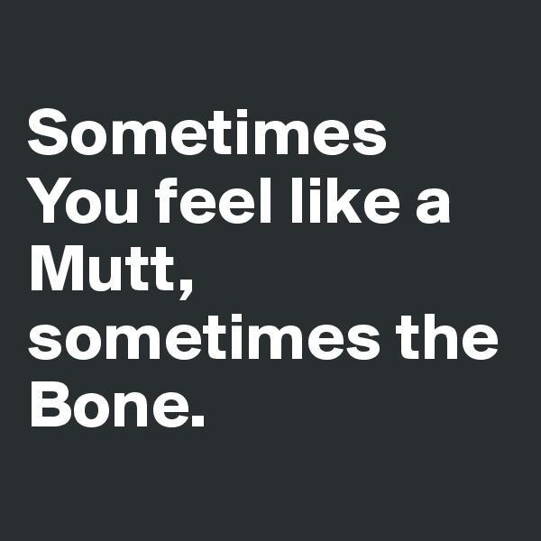 
Sometimes You feel like a Mutt, sometimes the Bone.
